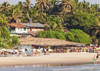 Exploring the Serenity of Palolem Beach in South Goa
