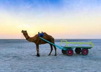 Rann of Kutch: The White Desert of India