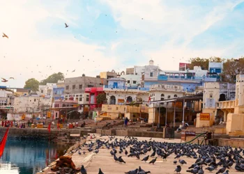 Pushkar Rajasthan – मंदिर और यात्रा गाइड