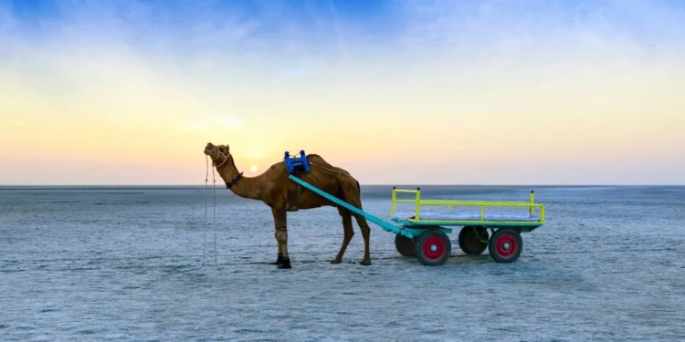 rann-of-kutch